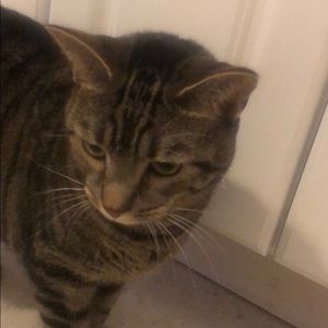 Meet your Posher, Carolyn